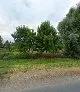 Spółdzielnia Socjalna Koliber